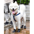 Dog Boots Reusable Silicone Pet Shoes