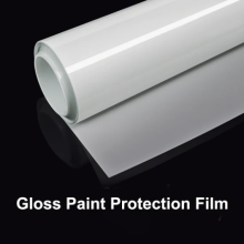 Film de protection de la peinture éconimique de 6,5mil