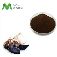 Fermented Black Garlic Extract 10:1 20:1