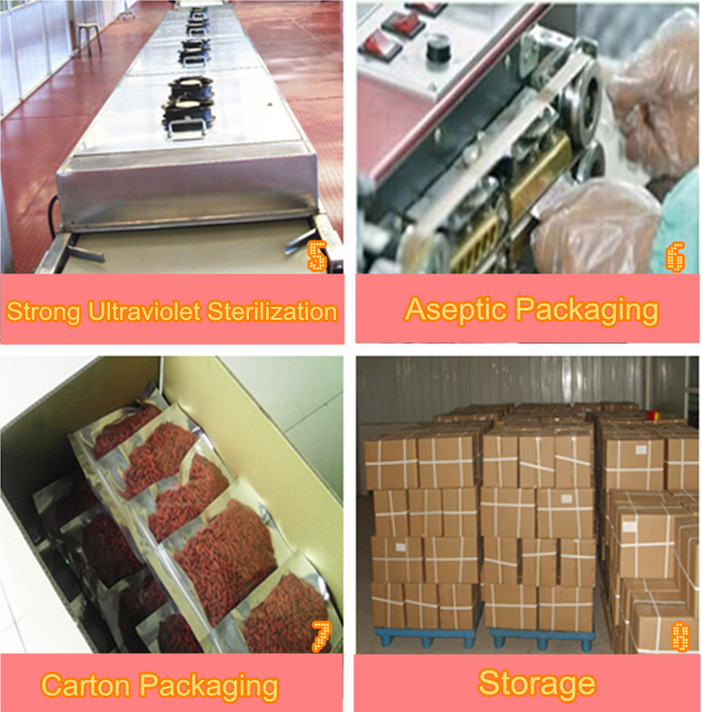 Goji berry sterilization, packing, storage