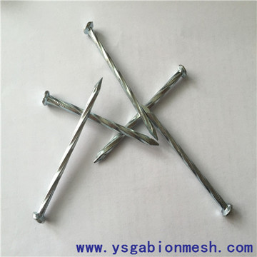 Low price twisted/spiral shank steel concrete nails