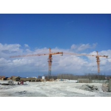 Well Known Lifting Machinery 10t Construction tower crane