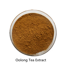 Compre en línea los ingredientes activos en polvo de extracto de té Oolong
