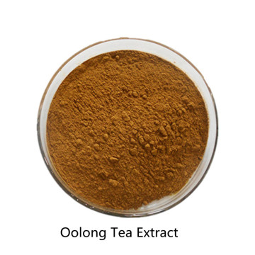 Acheter en ligne des ingrédients actifs Poudre d&#39;extrait de thé Oolong