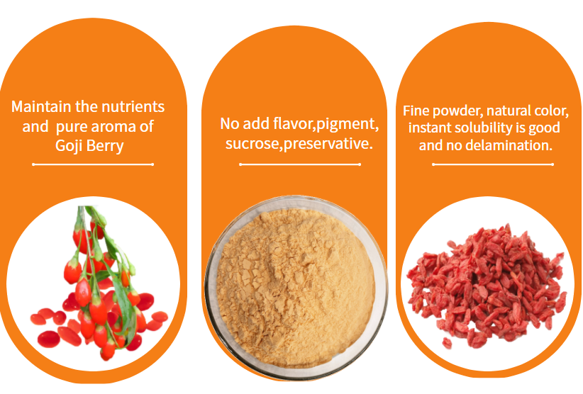 3. Goji Juice Powder 3. Goji Juice Powder
