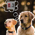 4G Smart Pet Collar GPS+WIFI+LBS