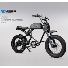 Fast adult electric bike