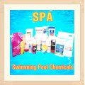 Schwimmbad SPA Chemicals Algicide Balancer Desinfektionsmittel Sanitizer Flockungsmittel