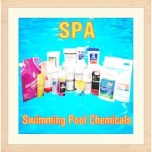 Swimming Pool SPA Chemicals Algaecide Balancer Disinfectant Sanitizer Flocculant