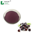 Acai berry extract powder food grade acai powder