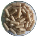 customize capsule pharmaceutical hpmc empty capsules