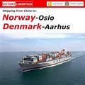 FCL&LCL Ocean Shipping From China to Norway and Denmark