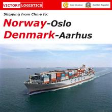 Transporte do FCL &amp; LCL Oceano da China para a Noruega e a Dinamarca