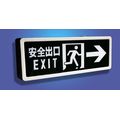 Airport Subway Public Places Safety Exit LED Signs