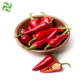 Direct Sale Food Grade Oil Spicy Oil Chilli Oil