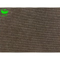 Polyester Fabric of Corduroy (BS8113)