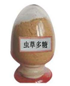 Cordyceps polysaccharide