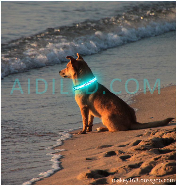 Led Dog Collar Glow