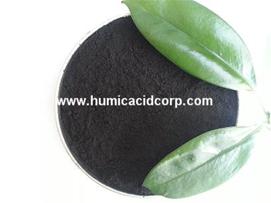 Leonardite Granule Insoluble Humic Acid