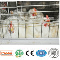 Système de cage de poulet agricole Cage de cage de cage de cage de réseau