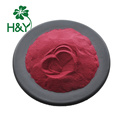 Factory Supply 100% Acai Berry Juice Powder