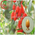 Polysaccharides Bio Goji en poudre Goji