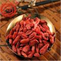 Bulk Dried Goji Berries Fruit With Sweet Taste