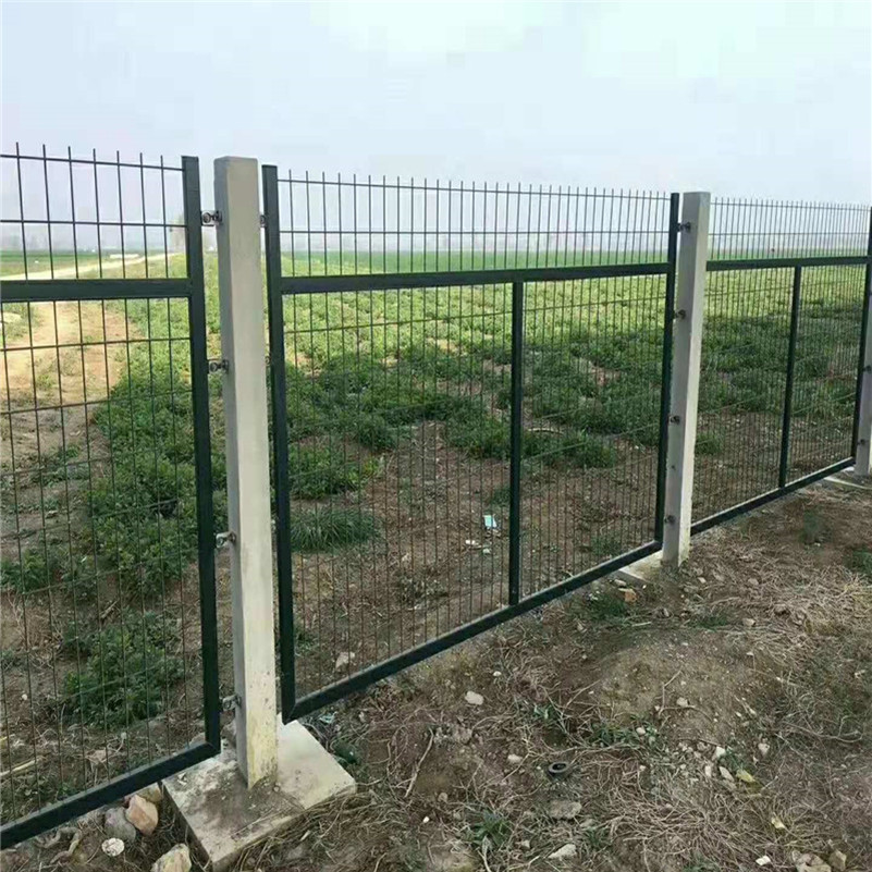 Wire Mesh Fence