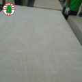 Cheap price 18mm okoume veneer plywood for construction