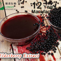 Best Price Black Elderberry Extract powder