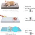 Warm Plush Memory Foam Orthopedic Medium Dog Beds