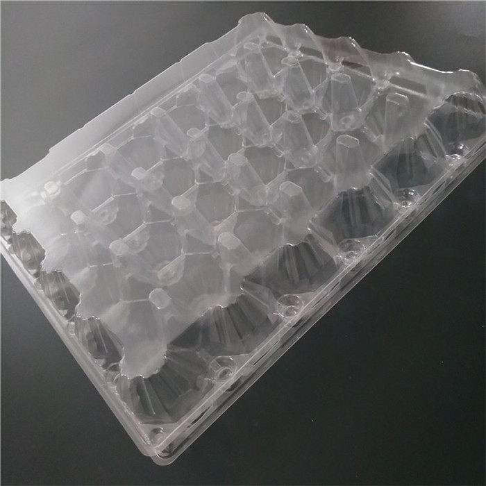 30 Cells Chicken Eggs Tray