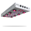 Dimmable Vollspektrum Cob Led Wachsen Licht