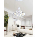 Modern Decor Acrylic LED Pendant Lights (AD15002-14B)