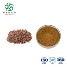 Radish Seed Extract Powder Anti-Inflammation Anti-Microbia