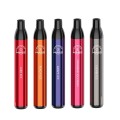 31.Disposable Vape Flavor E-Cigarette Electronic Cigarette