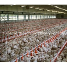 Équipement automatique de ferme de poulet pour la maison de poulet