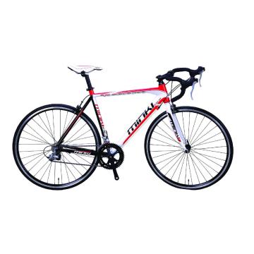 Bicicleta de liga leve com engrenagens A050 de 14 velocidades (MK15MT-70415)