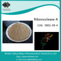 CAS: 9001-99-4 Ribonuklease a aus Rinderpankreas