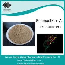 CAS: 9001-99-4 Ribonucleasa a Desde el Páncreas Bovino