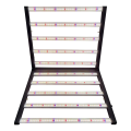 Edison 1000W 4*6ft Ce Rohs Led Grow Light