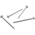 2 inch common nail iron nail