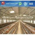 South Africa Best Price Automatic Layer Chicken Cage for Sale