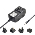 12V 2A Power Supply Interchangeable Plug