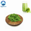 Organic Vegetable Powder Celery Juice Powder/Celery Powder