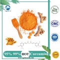 Натуральный порошок экстракта овалификации 95% Curcumum Curcumin капсулы