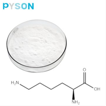 L Lysine Base Enterprise Standard