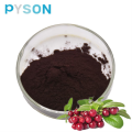 Bilberry Extract (Anthocyanins 25% UV )