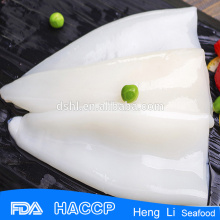 Frozen argentina squid for sale