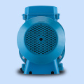 Filter Circulation Pump Electric Swimming Pool Water Pump